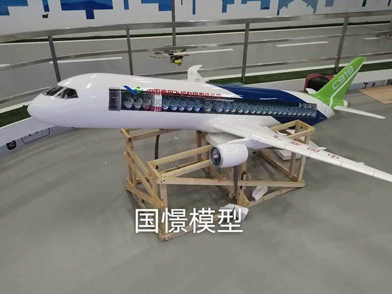 龙门县飞机模型